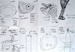 Kids drawings of parts of animals at Children's Art School workshop led by Julia Millette