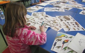 Kids drawing animal parts at Children's Art School course led by Julia Millette